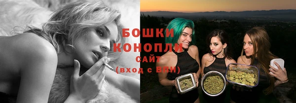 гашик Михайловка