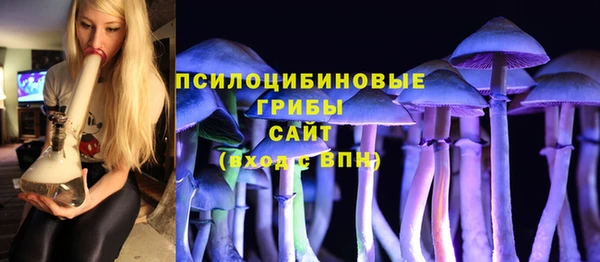 гашик Михайловка