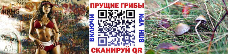 Галлюциногенные грибы прущие грибы  купить наркотики сайты  Анадырь 