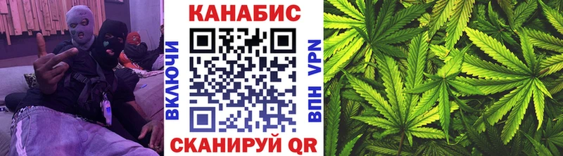 Бошки Шишки SATIVA & INDICA  купить наркоту  Анадырь 